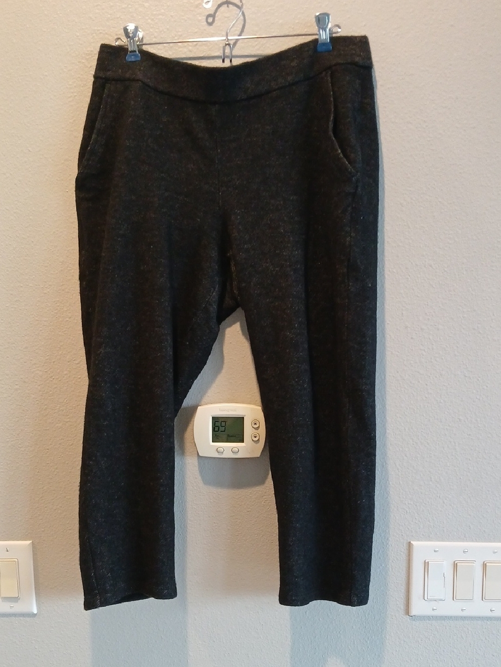 Eileen Fisher Dark Charcoal Cropped Stretch Pants Wool Medium